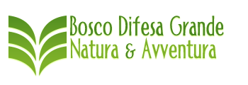 Bosco Difesa Grande: Natura & Avventura